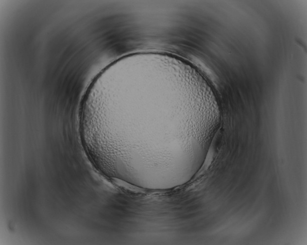 X0000091371480200709071314