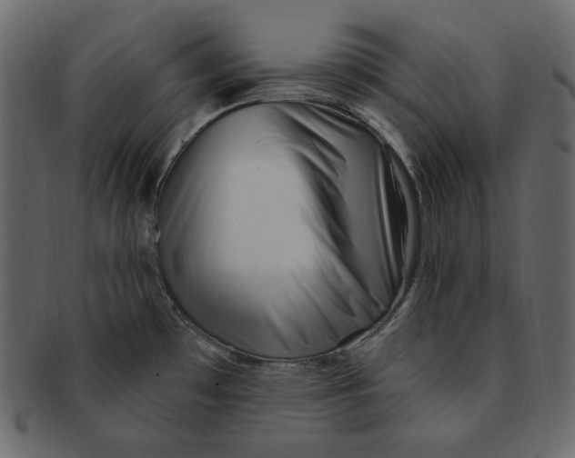 X0000091371481200709071314