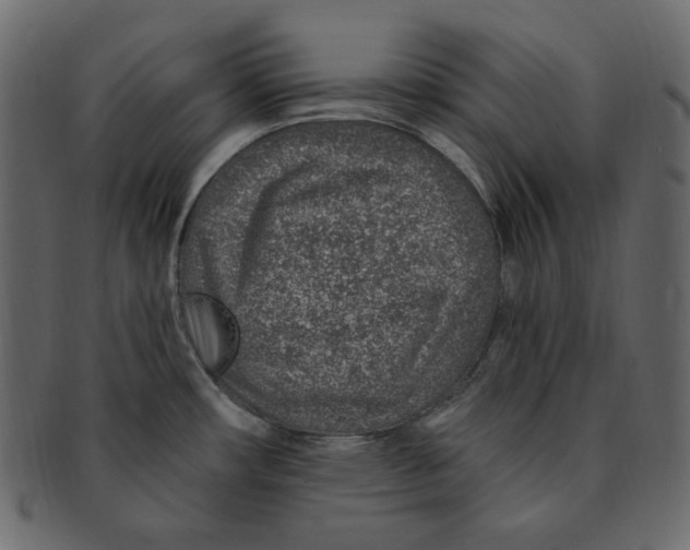 X0000091371482200709071314