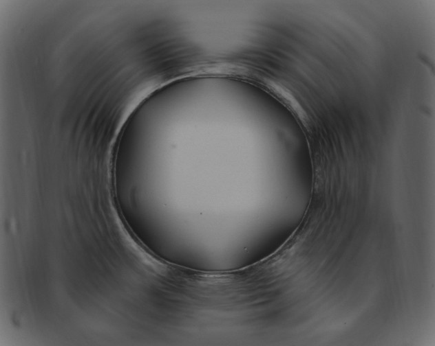 X0000091371483200709071314