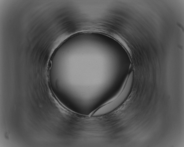 X0000091371485200709071314