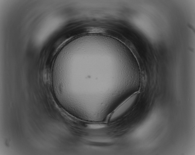 X0000091371487200709071314