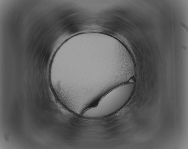 X0000091371488200709071314