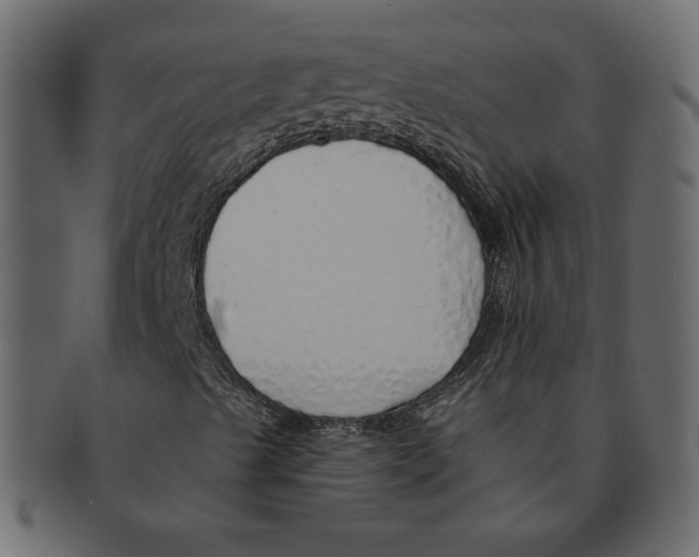 X0000091371489200709071314