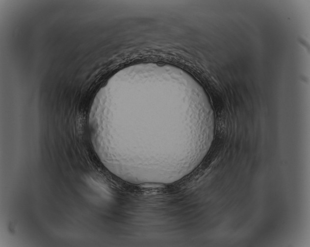 X0000091371490200709071314