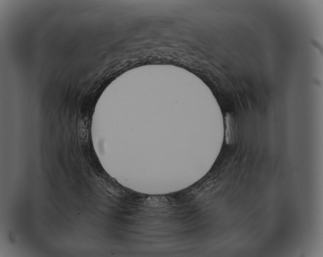 X0000091371491200709071314