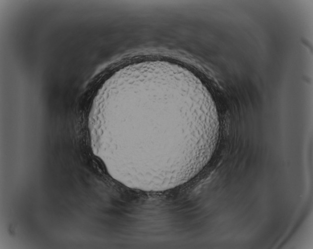 X0000091371494200709071314