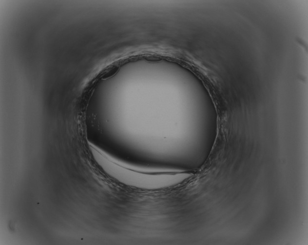 X0000091371496200709071314