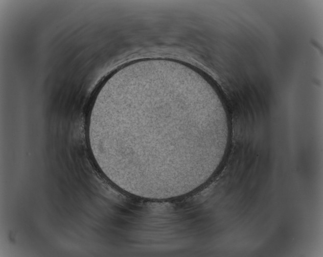 X0000091371498200709071314