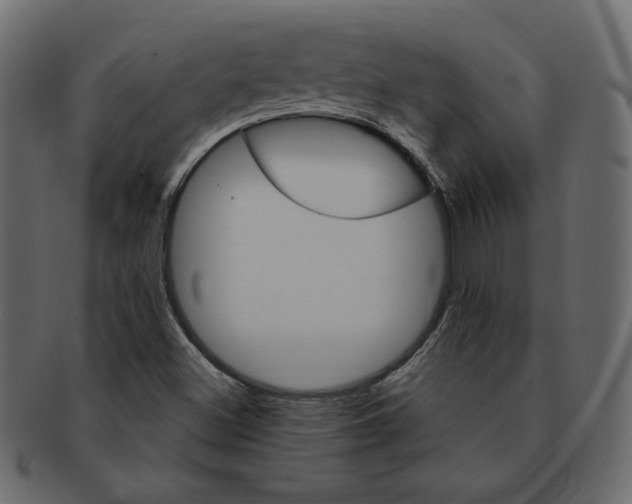 X0000091371500200709071314