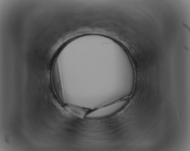 X0000091371503200709071314