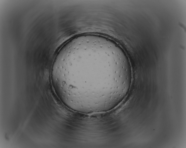 X0000091371505200709071314