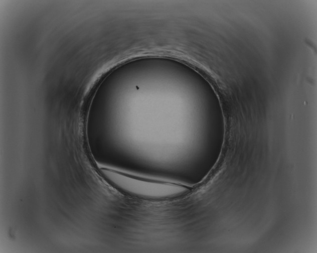 X0000091371506200709071314