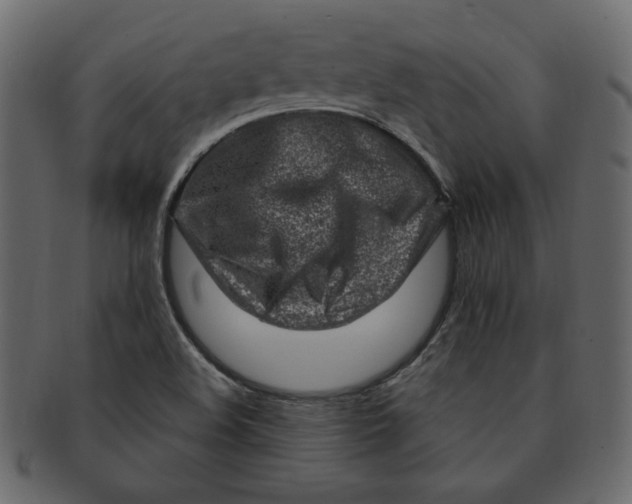 X0000091371508200709071314