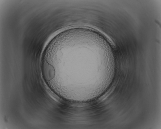 X0000091371514200709071314