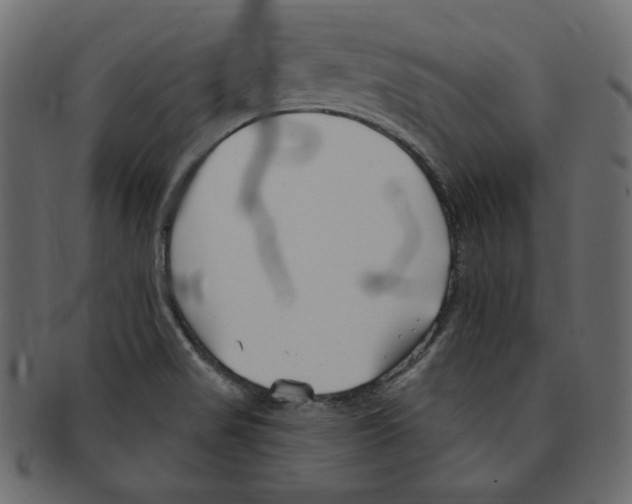 X0000091371517200709071314