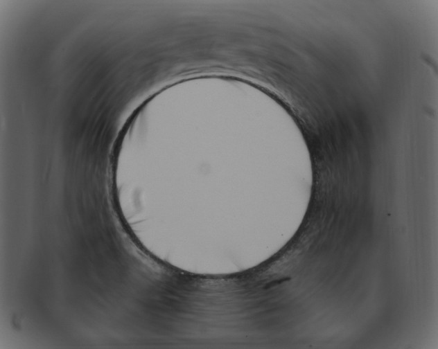 X0000091371518200709071314