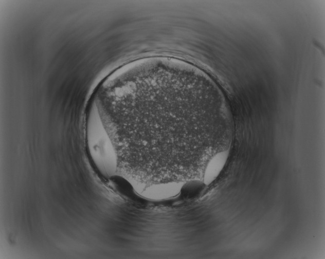 X0000091371522200709071314