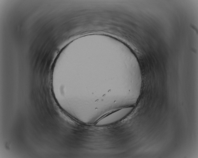 X0000091371526200709071314