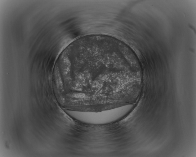 X0000091371529200709071314