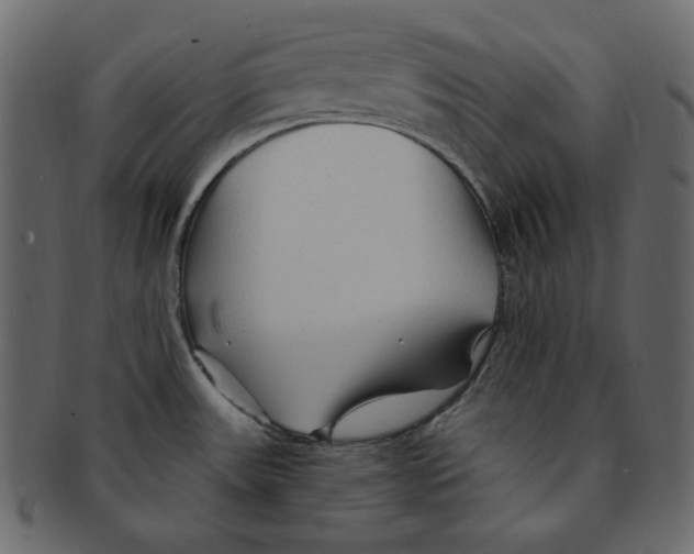 X0000091371531200709071314