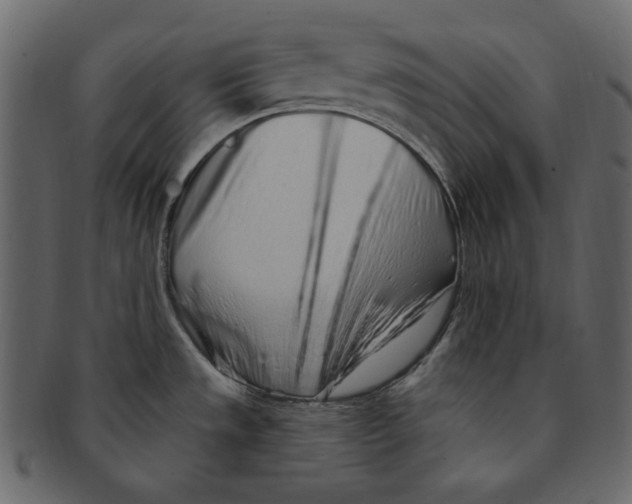 X0000091371533200709071314