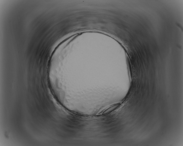 X0000091371534200709071314