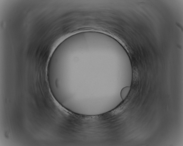 X0000091371535200709071314