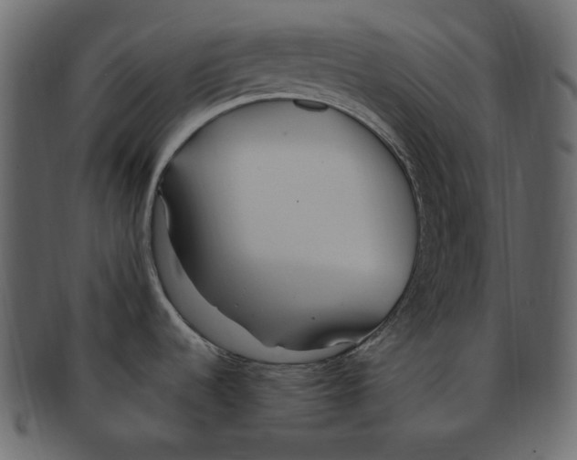 X0000091371536200709071314