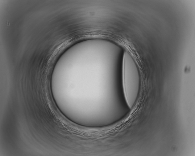 X0000091450001200708161056