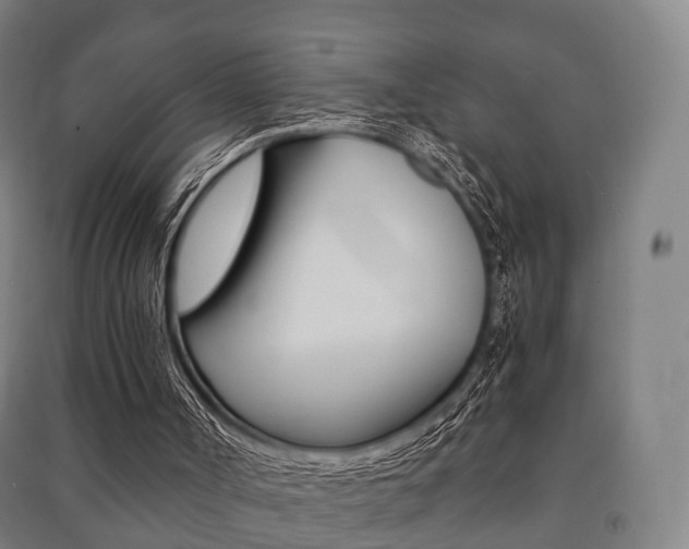 X0000091450002200708161056