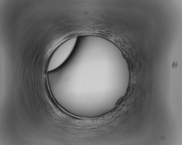 X0000091450005200708161056