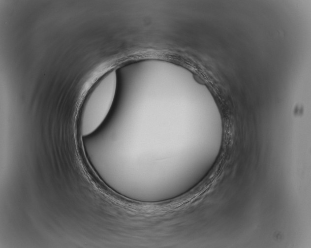 X0000091450006200708161056