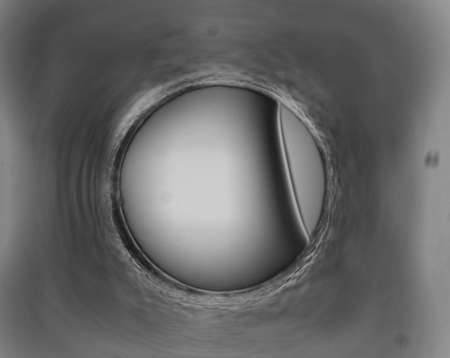 X0000091450007200708161056