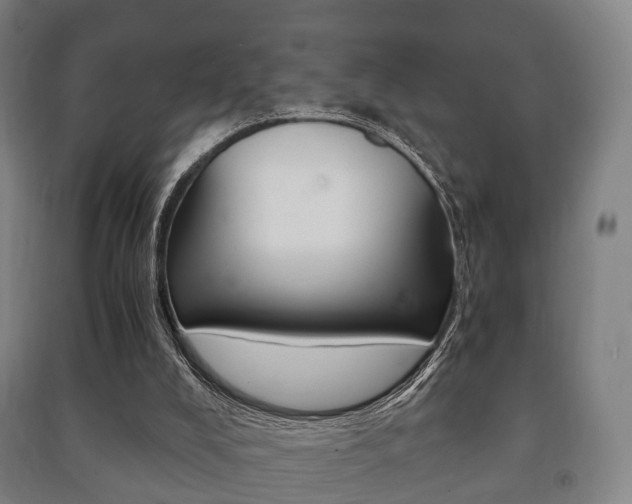 X0000091450008200708161056