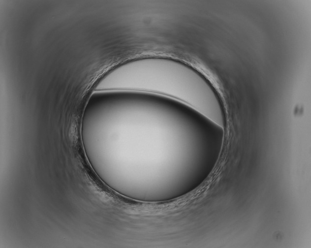 X0000091450009200708161056