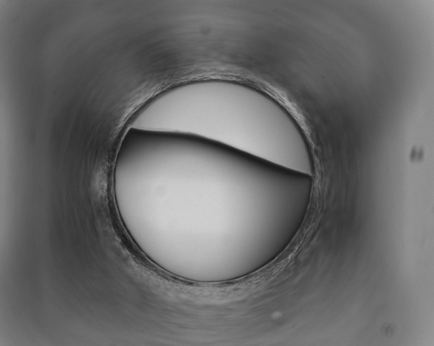 X0000091450010200708161056