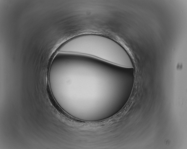 X0000091450011200708161056