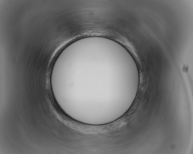 X0000091450012200708161056