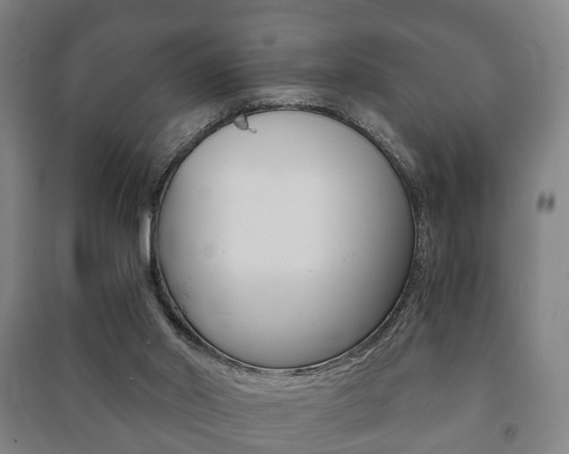 X0000091450014200708161056