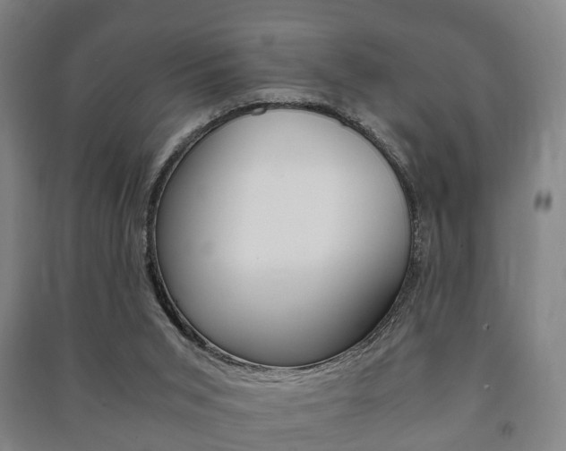 X0000091450015200708161056