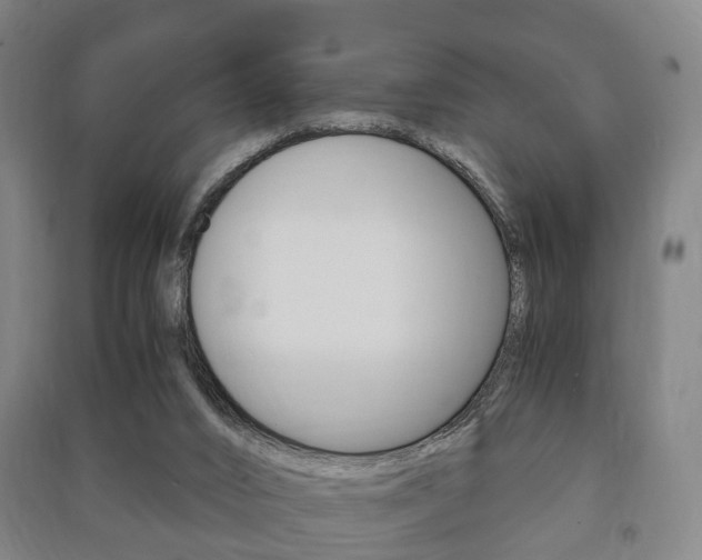 X0000091450016200708161056