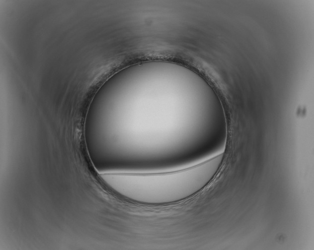 X0000091450017200708161056