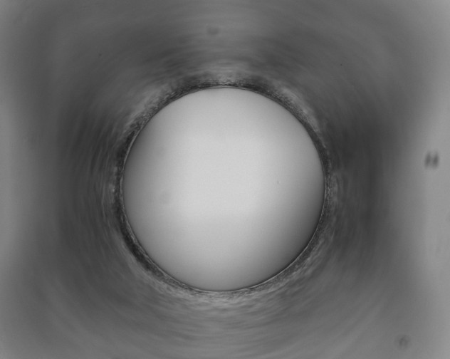 X0000091450018200708161056