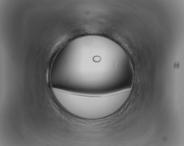 X0000091450019200708161056
