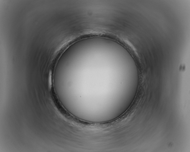 X0000091450020200708161056