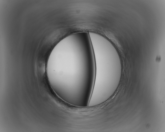 X0000091450021200708161056