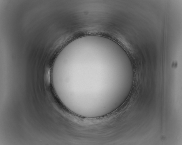 X0000091450022200708161056