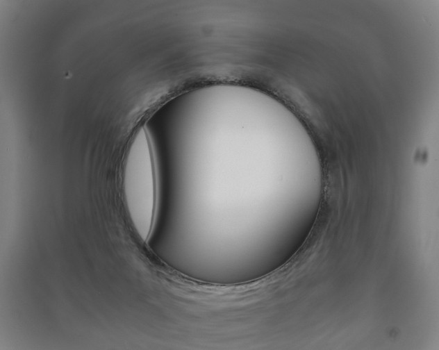 X0000091450023200708161056