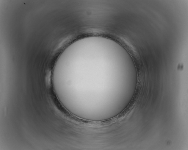 X0000091450024200708161056